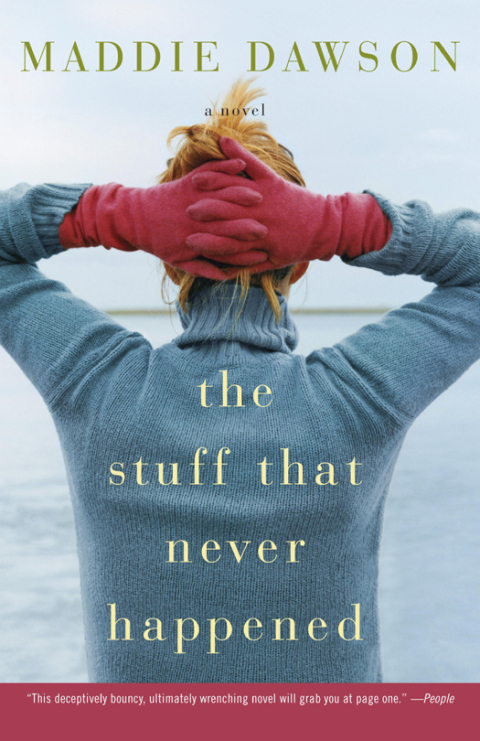 Cover image for book The Stuff That Never Happened