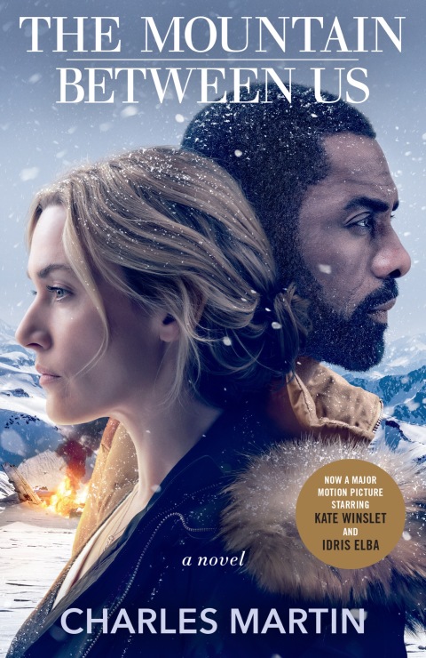Cover image for book The Mountain Between Us