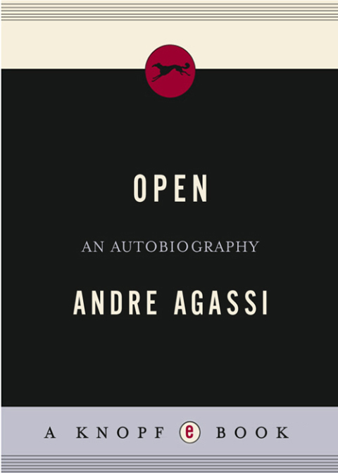 Cover image for book Open