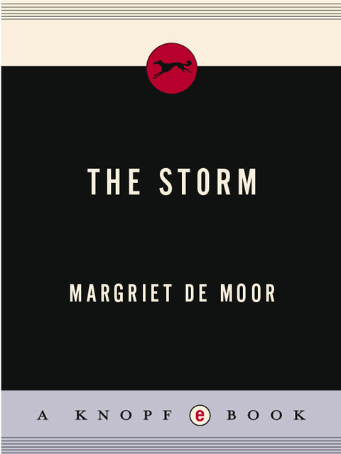 Cover image for book The Storm