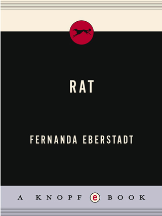 Rat