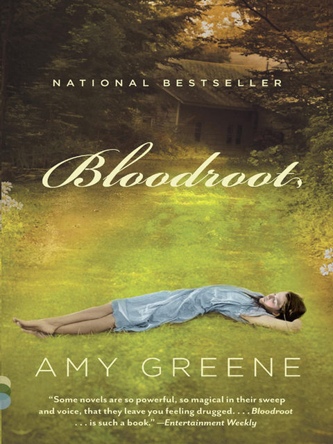 Cover image for book Bloodroot