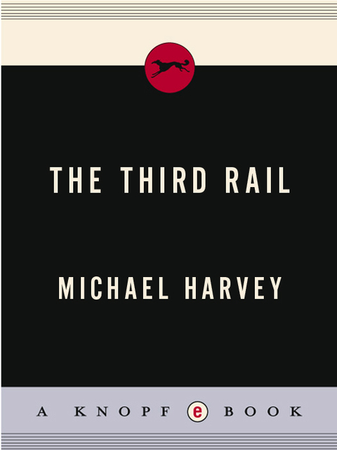Cover image for book The Third Rail