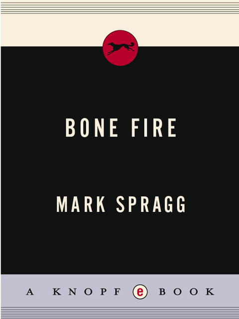 Cover image for book Bone Fire