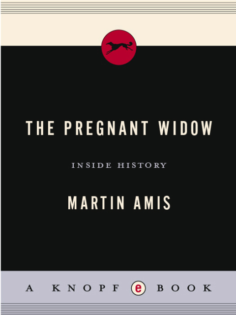 Cover image for book The Pregnant Widow