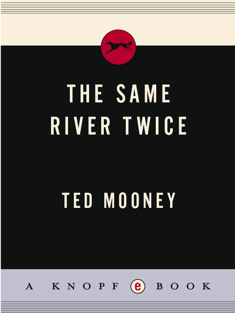 Cover image for book The Same River Twice
