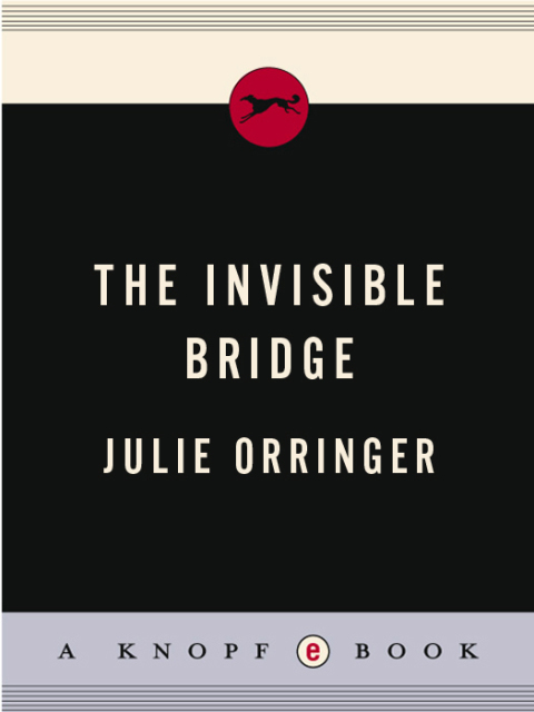 Cover image for book The Invisible Bridge