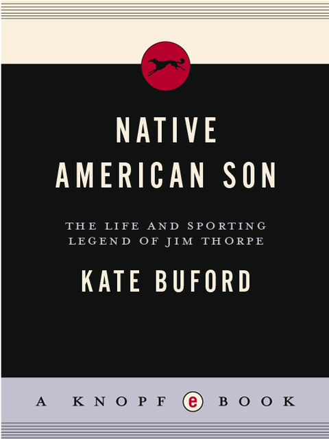 Cover image for book Native American Son