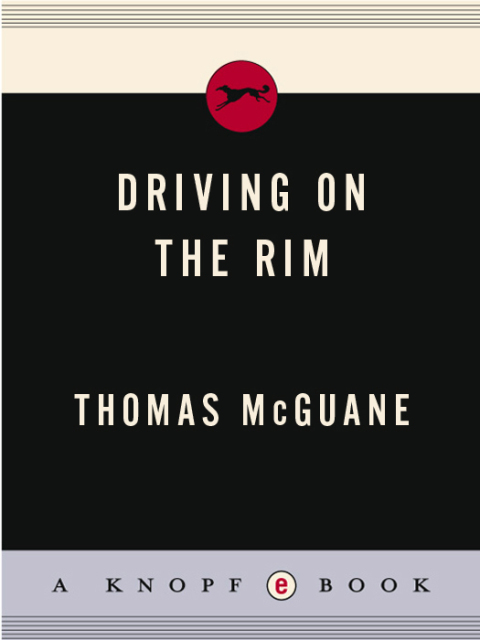 Cover image for book Driving on the Rim