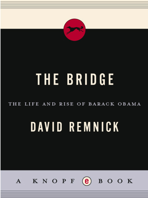 Cover image for book The Bridge