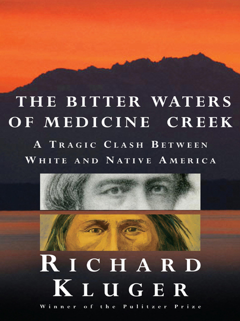 Cover image for book The Bitter Waters of Medicine Creek
