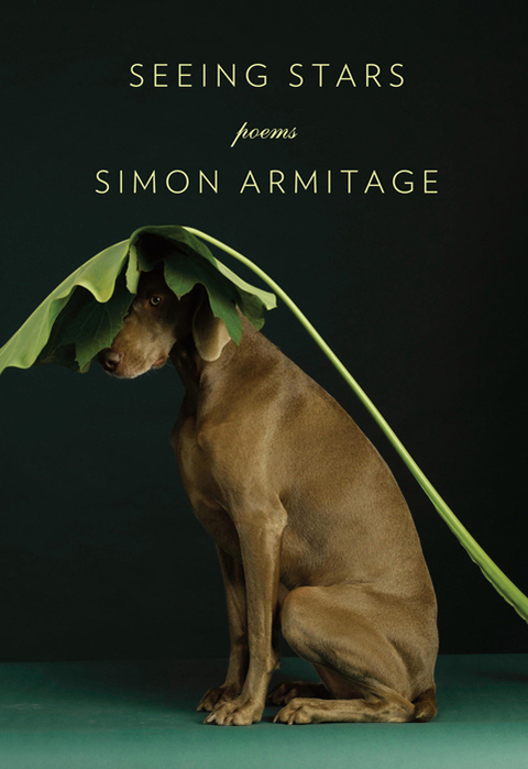 Cover image for book Seeing Stars