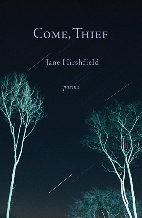Cover image for book Come, Thief