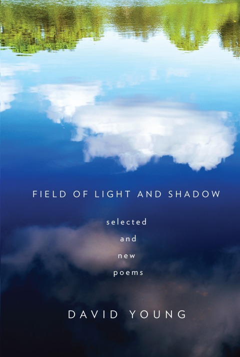 Cover image for book Field of Light and Shadow