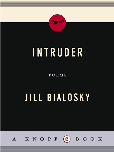 Cover image for book Intruder