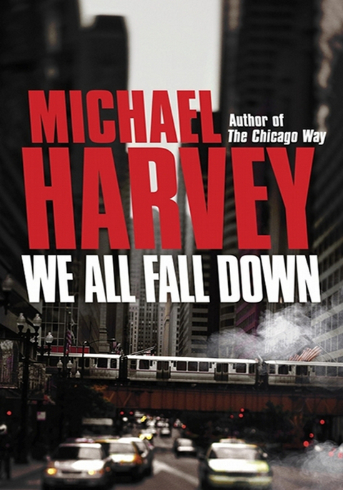 Cover image for book We All Fall Down