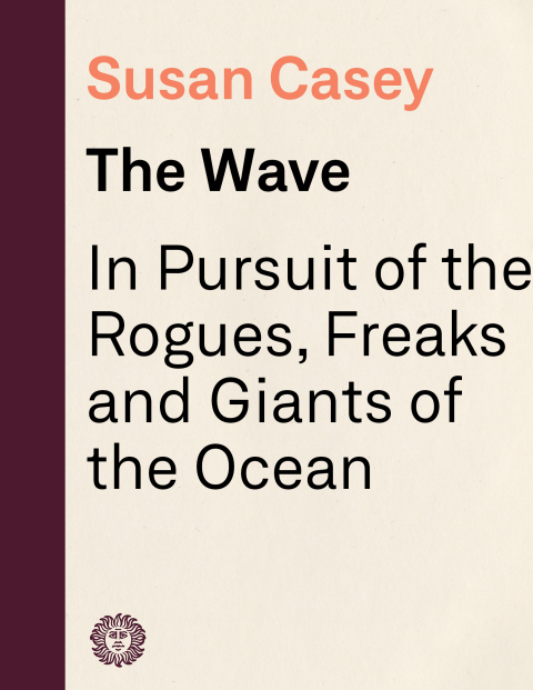 Cover image for book The Wave
