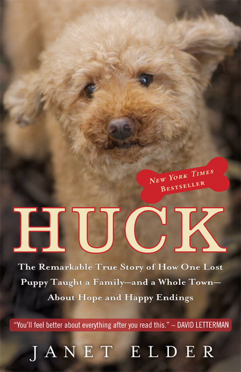 Cover image for book Huck