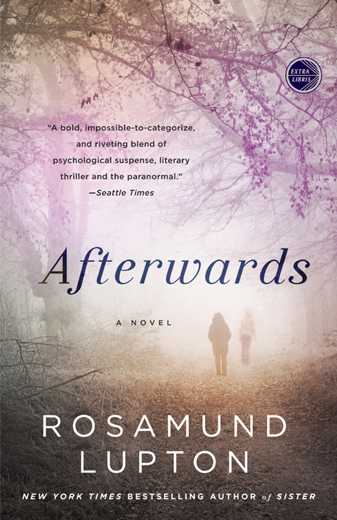 Cover image for book Afterwards