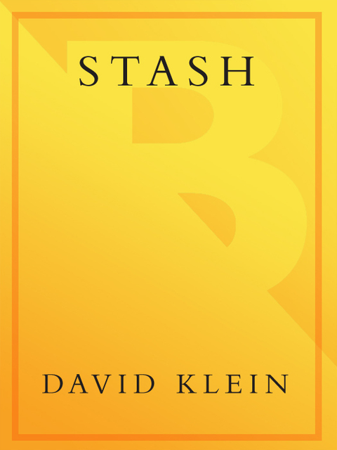 Cover image for book Stash
