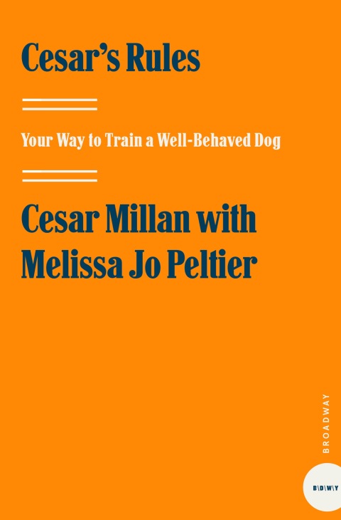 Cover image for book Cesar's Rules