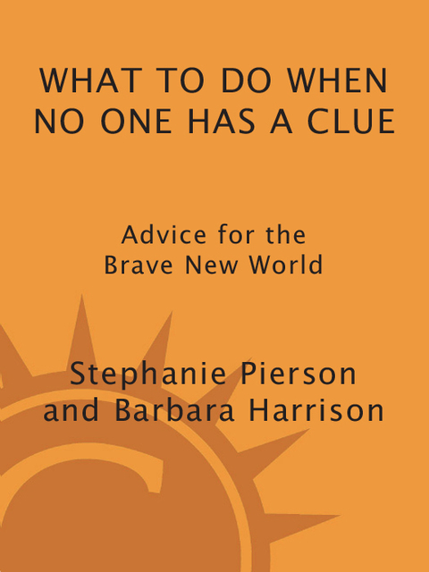 Cover image for book What to Do When No One Has a Clue