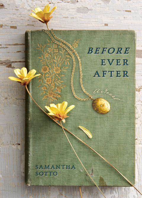 Cover image for book Before Ever After