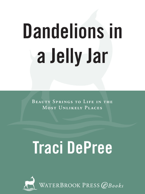 Cover image for book Dandelions in a Jelly Jar