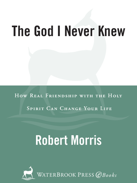 Cover image for book The God I Never Knew