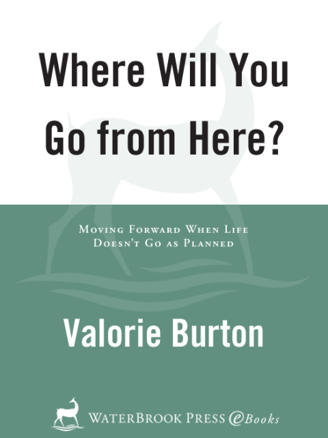 Cover image for book Where Will You Go from Here?