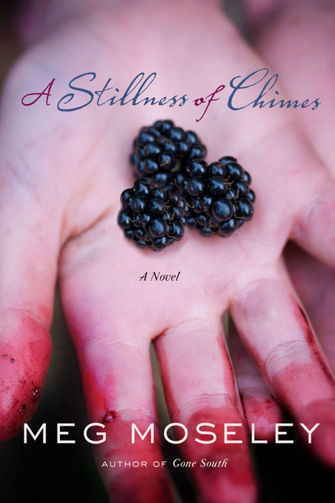 Cover image for book A Stillness of Chimes