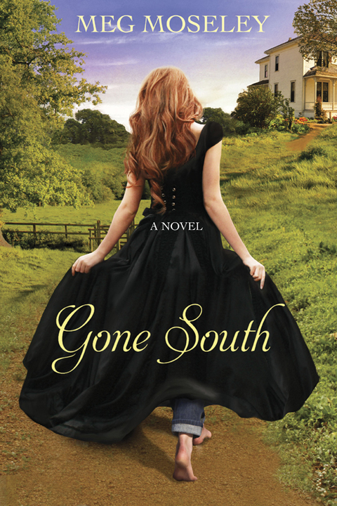 Cover image for book Gone South
