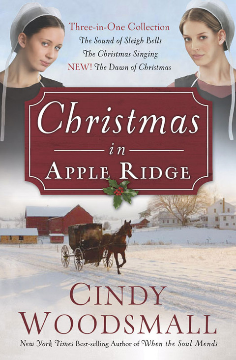 Cover image for book Christmas in Apple Ridge