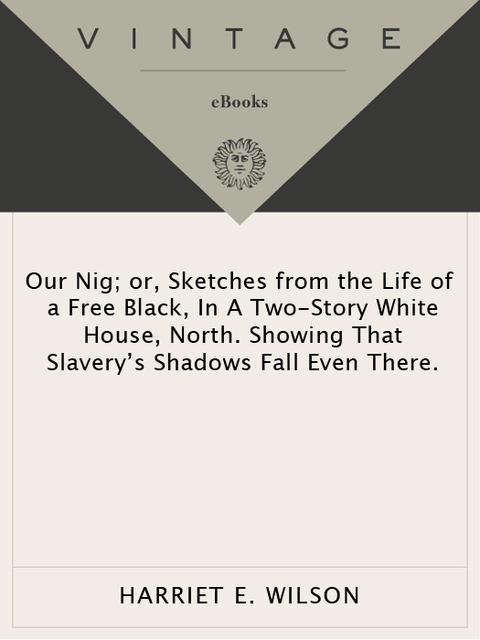 Cover image for book Our Nig