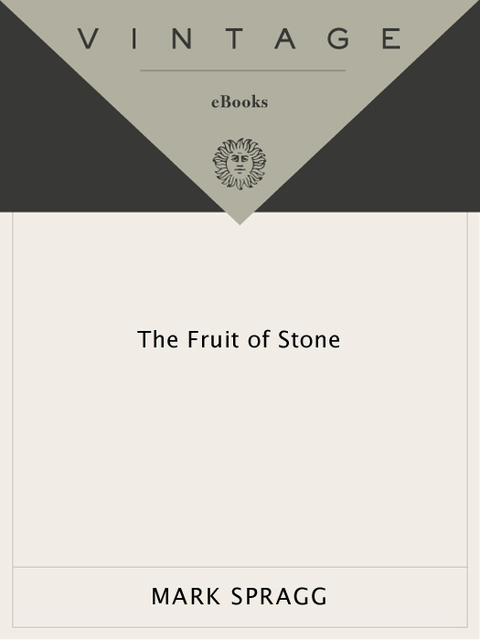 Cover image for book The Fruit of Stone