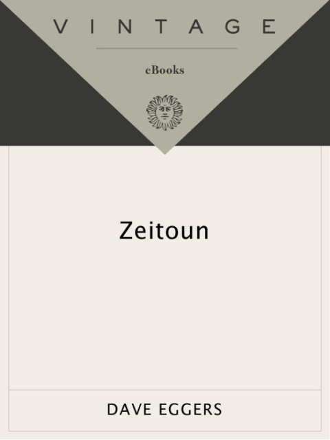 Cover image for book Zeitoun