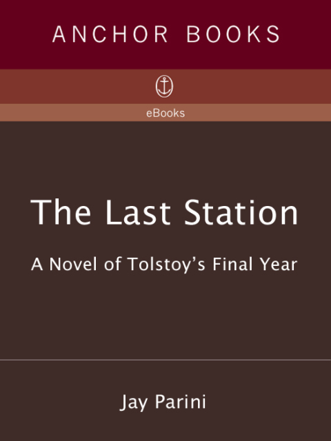 Cover image for book The Last Station