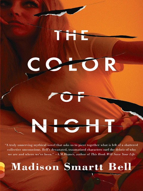 Cover image for book The Color of Night