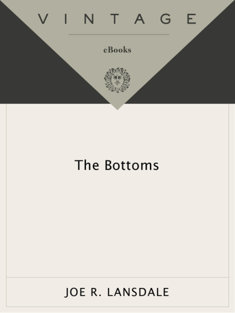 Cover image for book The Bottoms
