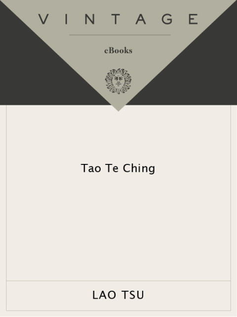 Cover image for book Tao Te Ching