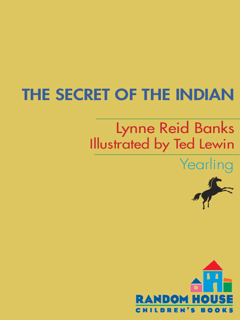 Cover image for book The Secret of the Indian