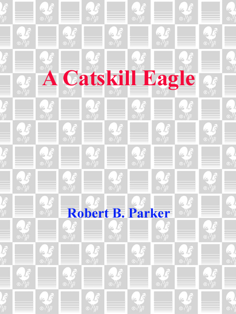 Cover image for book A Catskill Eagle
