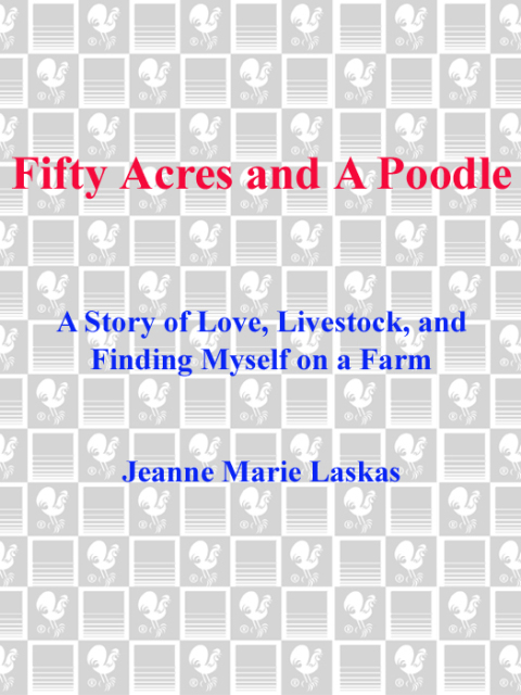 Cover image for book Fifty Acres and a Poodle