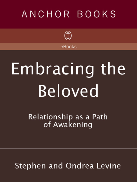 Cover image for book Embracing the Beloved