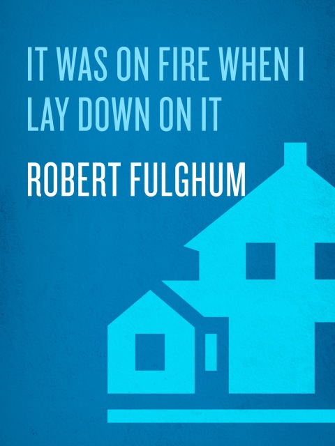 Cover image for book It Was On Fire When I Lay Down On It
