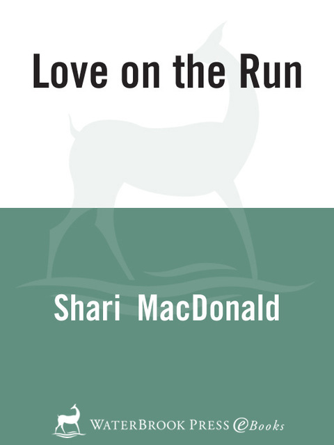 Cover image for book Love on the Run