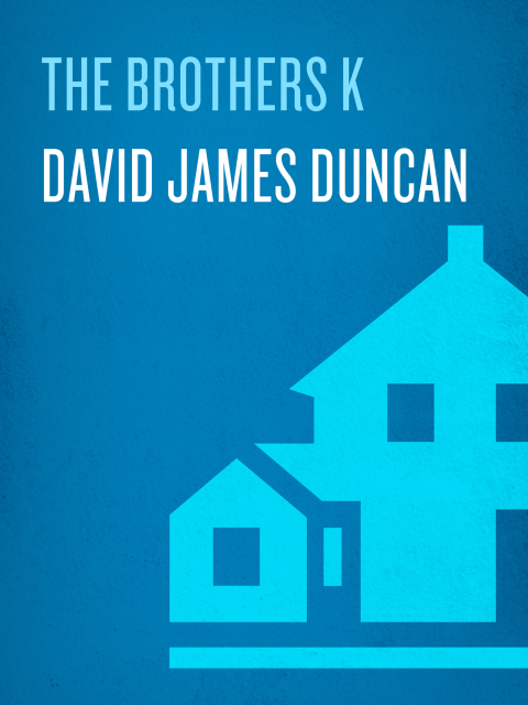 Cover image for book The Brothers K