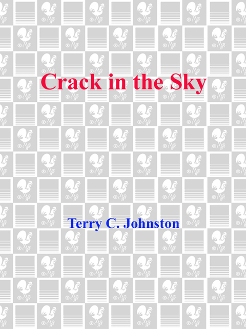 Cover image for book Crack in the Sky