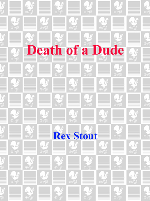 Cover image for book Death of a Dude
