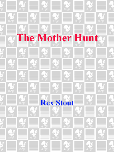 Cover image for book The Mother Hunt